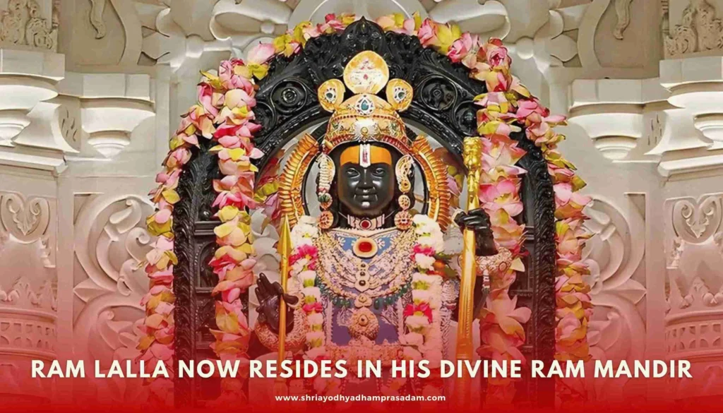 After karsevaks' struggles, Ram Lalla now resides in His divine Ram Mandir